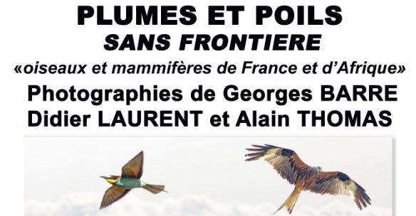 Plumes & Poils sans frontière